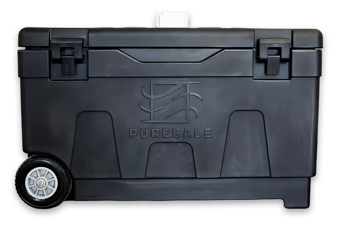 PurebaleM-300-1